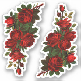 St. George's Day Rose (fL) Aufkleber