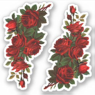 St. George's Day Rose (fL) Aufkleber