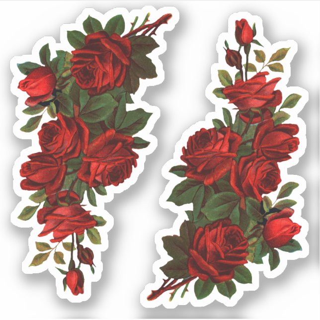 St. George's Day Rose (fL) Aufkleber (Vorderseite)