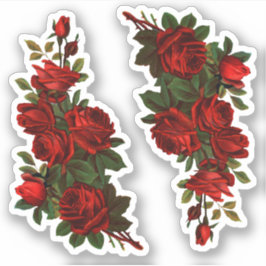 St. George's Day Rose (fR) Aufkleber