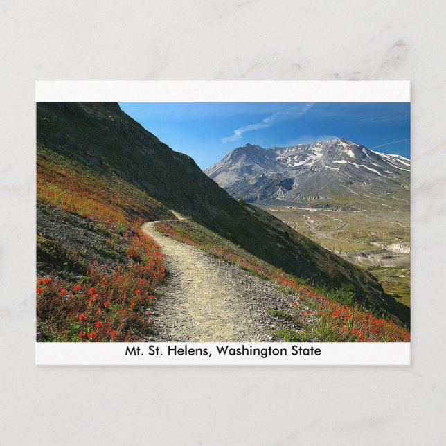 St. Helens Washington Staat Postkarte (Vorderseite)