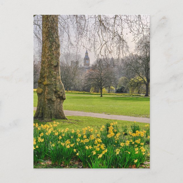 St James's Park London UK Carte postale (Devant)