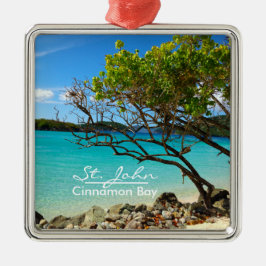 St John Cinnamon Bay Silver Frame Ornament