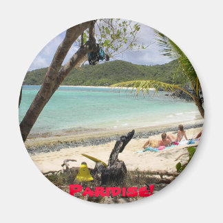 ST. JOHN ISLAND, Paridise! Magnet