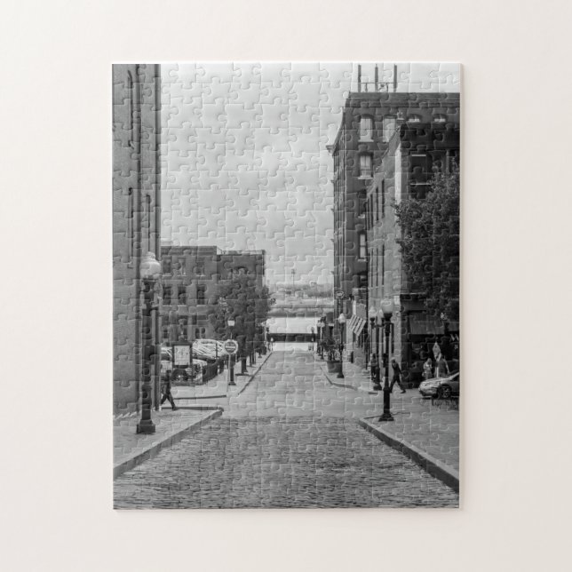 St Louis Alley Grayscale (Vertikal)