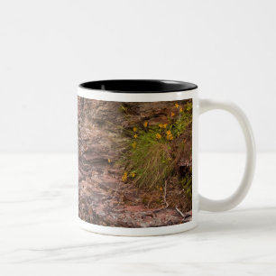 St Mary Falls im Glacier National Park in Zweifarbige Tasse
