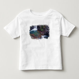 St Mary Falls in Glacier National Park Kleinkind T-shirt