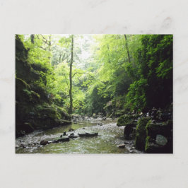 St Nectans Glen Cornwall Foto Postkarte