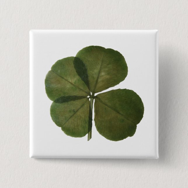 St Patrick Real 4 Leaf Clover Lucky Button (Vorderseite)