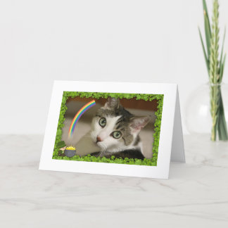 St Patrick Tag Gracey Feiertagskarte