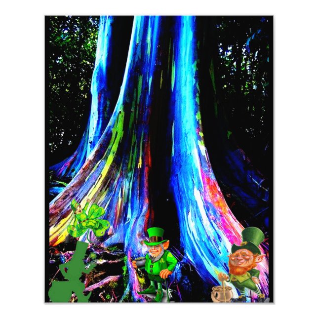 ST. PATRICK'S DALEPRECHAUNS FOTODRUCK (Vorne)