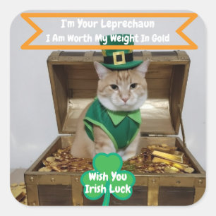 St. Patrick's Day-Aufkleber mit Katzenhumor Quadratischer Aufkleber