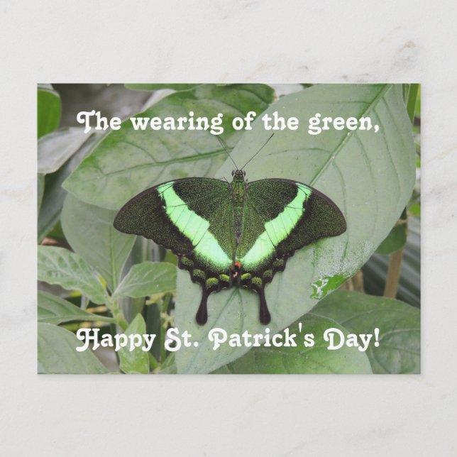 St. Patrick's Day Butterfly Postkarte (Vorderseite)
