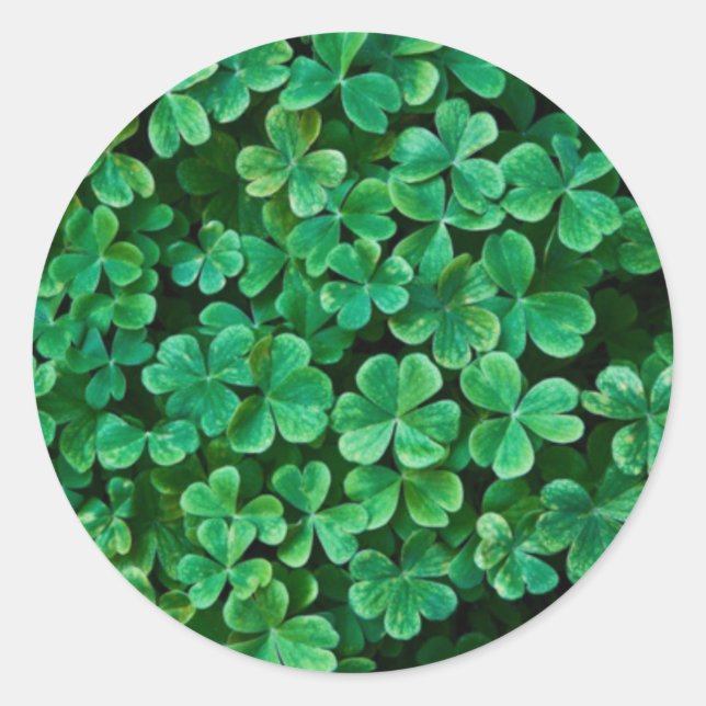 St. Patrick's Day Clover Patch Runder Aufkleber (Vorderseite)