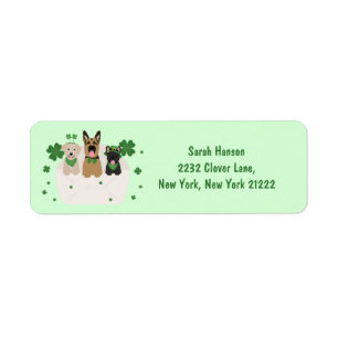 St Patricks Day Dog Mail