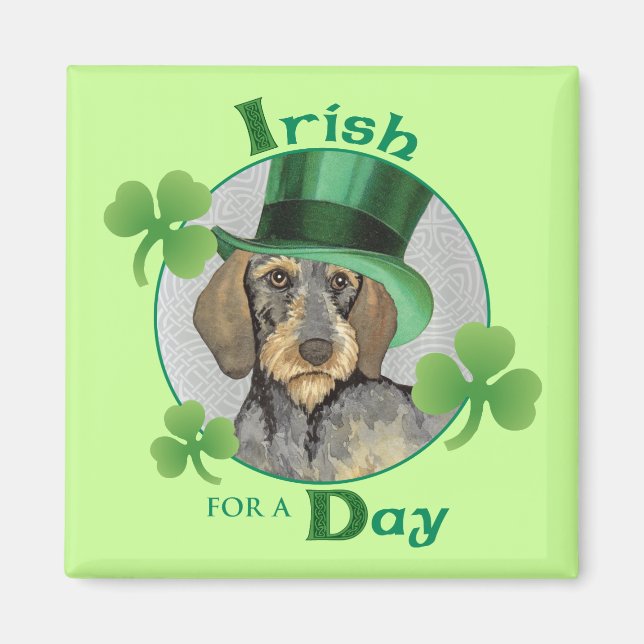St. Patrick's Day Drahthaar Dackel Magnet (Vorne)