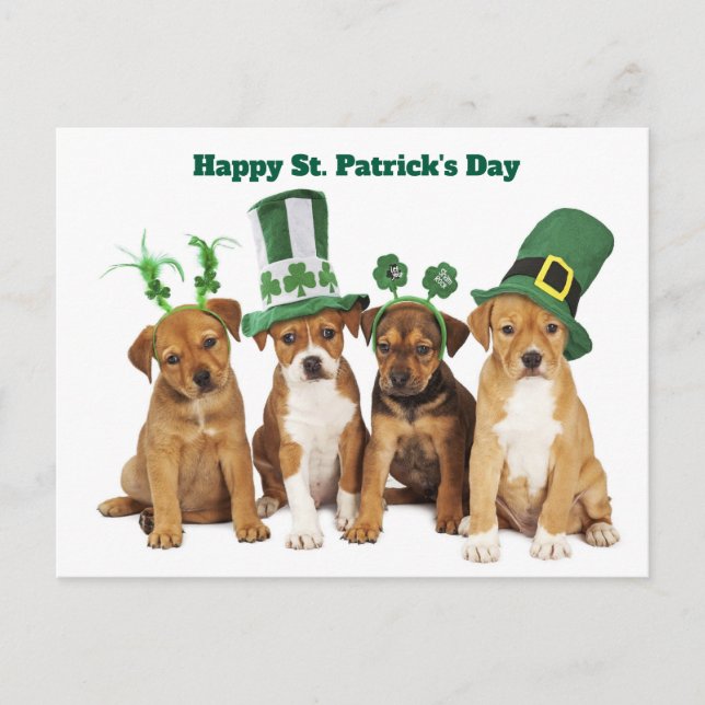 St. Patrick's Day  Feiertagspostkarte (Vorderseite)