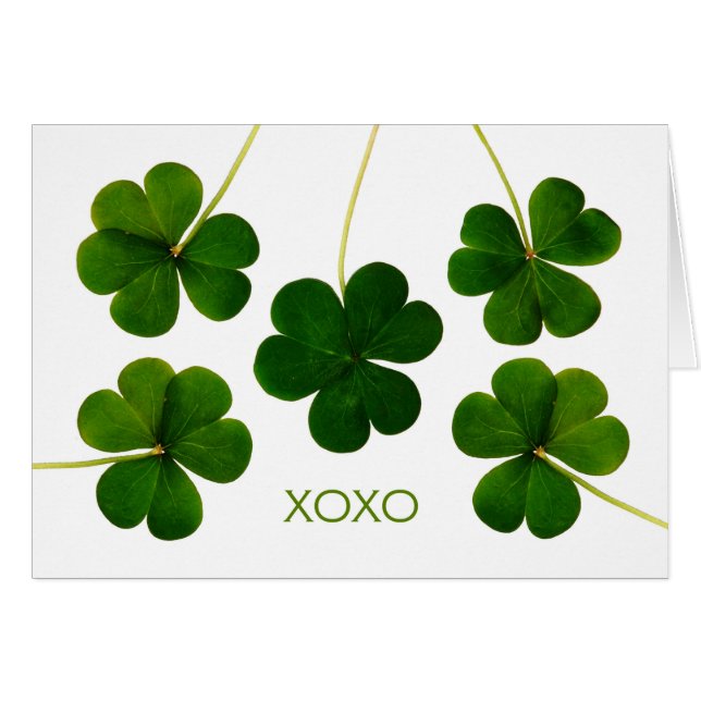 St. Patrick's Day for Boyfriend, Shamrocks XOXO (Devant horizontal)