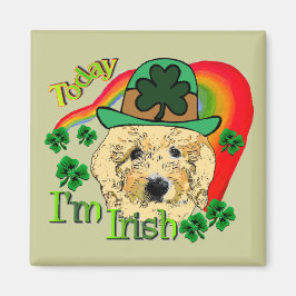 St Patricks Day Goldendoodle Magnet