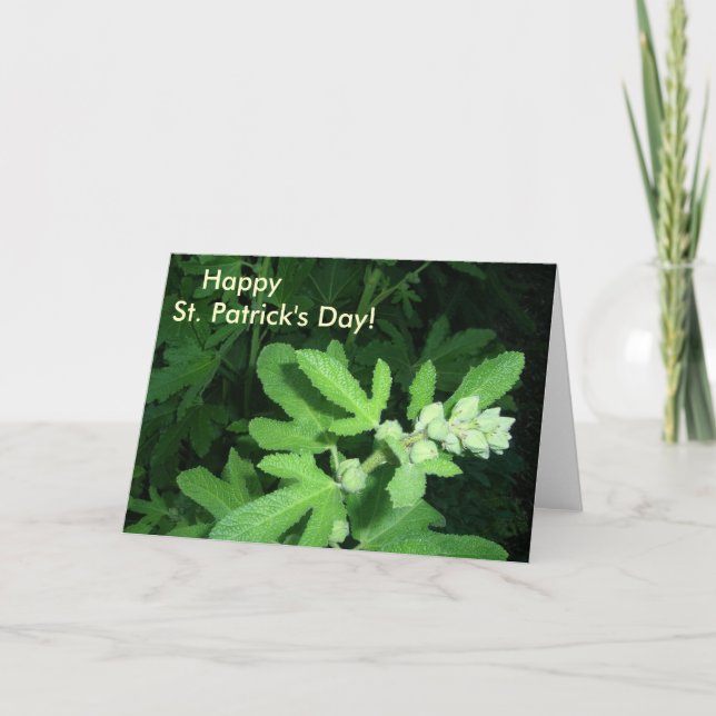 St. Patrick's Day Green Pflanze Karte (Vorderseite)