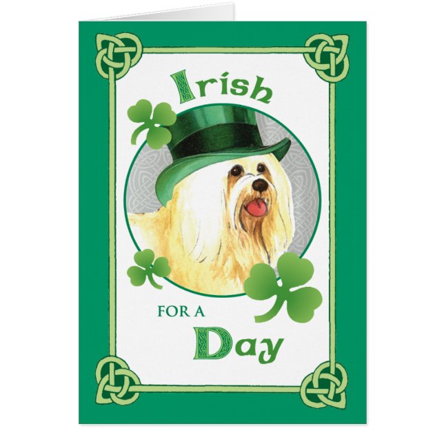 St. Patrick's Day Havanese (Vorne)