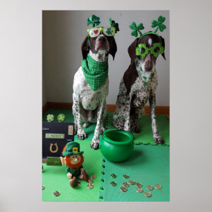 St. Patrick's Day Hogs Party Value Poster