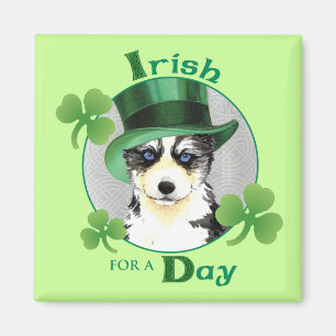 St. Patrick's Day Husky Magnet