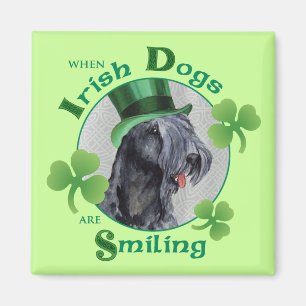 St. Patrick's Day Kerry Blue Terrier Magnet