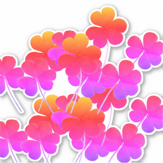 St Patrick's Day Kleeblatt Leaf Pink Farbenfroh Ni Aufkleber (Vorderseite)