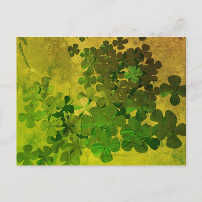 St. Patrick's Day Kleeblatt Postkarte (Vorderseite)