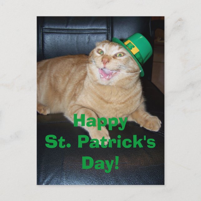 St Patrick's Day Leprechaun Cat Postcard Postkarte (Vorderseite)