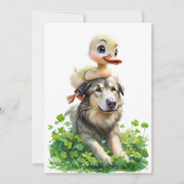 St. Patrick's Day Party Einladung: Duckling Einladung