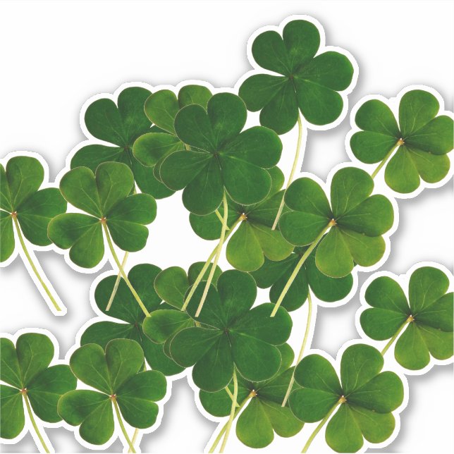 St Patrick's Day Party Shamrock Leaf Green 2020 Aufkleber (Vorderseite)