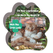St. Patrick's Day Shamrock Katzen Humor Auto Magne