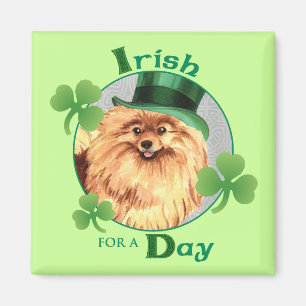 St. Patrick's Day Spitz Magnet
