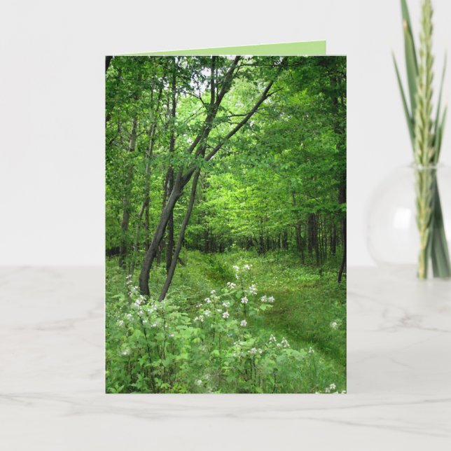 St. Patrick's Day: Waldweg Karte (Vorderseite)