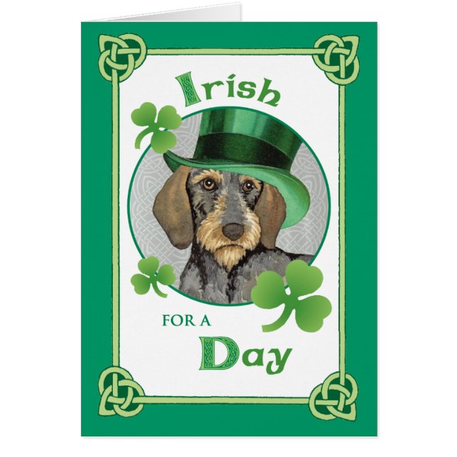 St. Patrick's Day Wirehaired Dachshund (Vorne)