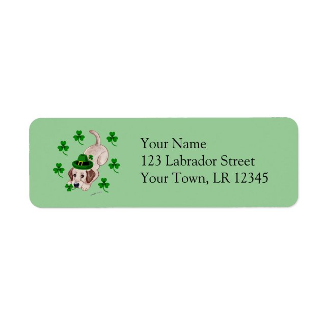 St. Patrick's Day Yellow Labrador (Vorne)