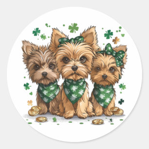 St. Patrick's Day Yorkshire Terrier Dogs Runder Aufkleber