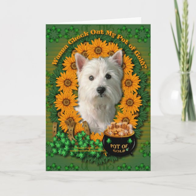 St. Patricks - Goldschatz - Westhochland Terrier Karte (Vorderseite)