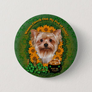 St. Patricks - Goldschatz - Yorkshire Terrier Button