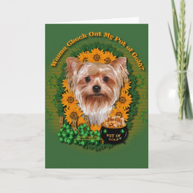 St. Patricks - Goldschatz - Yorkshire Terrier Karte (Vorderseite)