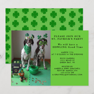 St. Patrick's Party Hunde mit Shanrocks Einladung