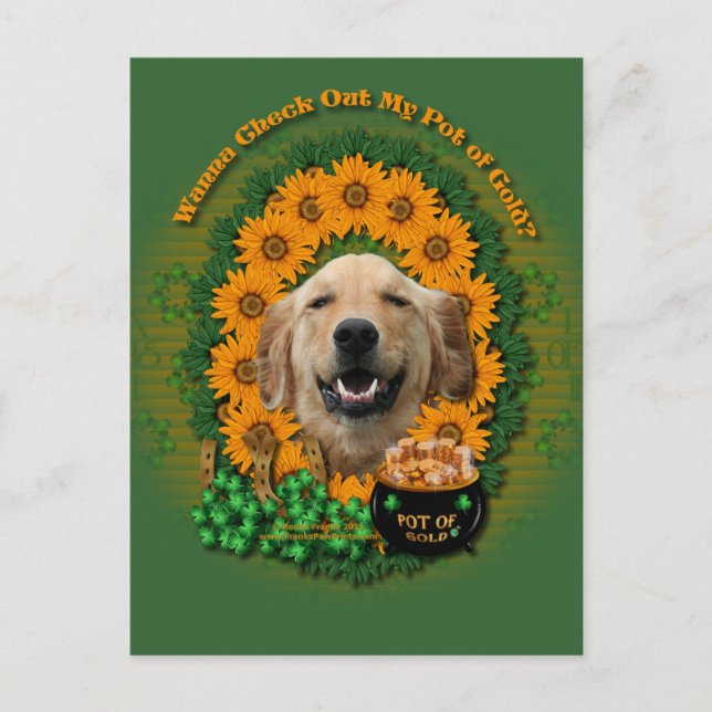 St Patricks - Pot of Gold - Golden Retriever Micke Postkarte (Vorderseite)