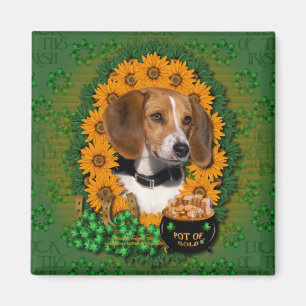 St. Patricks - Topf Gold - Beagle Magnet