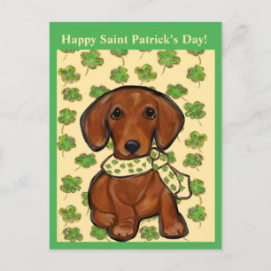 St.Patty Doxie   Postkarte