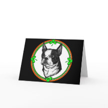 St. Pattys Boston-Terrier