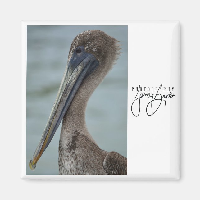 St. Pete Pelican 2x2 Magnet (Vorne)