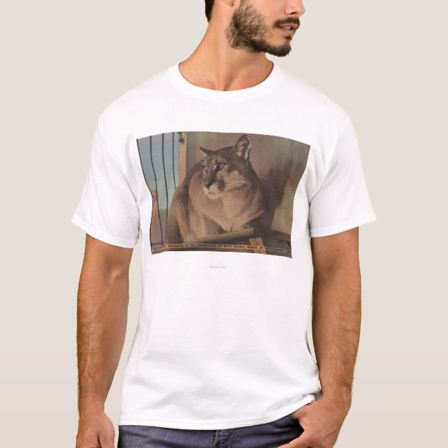 St. Petersburg, Florida - Bild von Florida T-Shirt (Vorderseite)