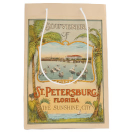 St. Petersburg Florida Die Sonnenscheinstadt Vinta Mittlere Geschenktüte